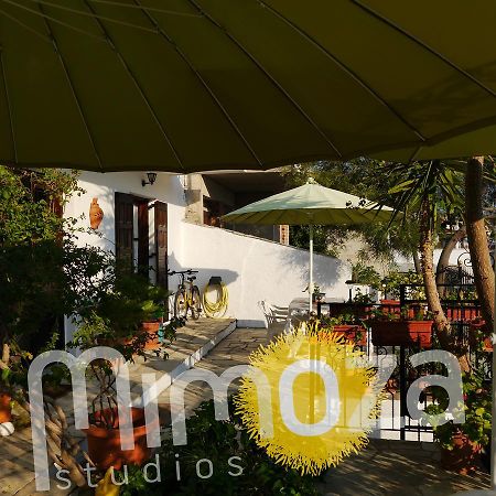 Mimoza Studios Σκιάθος Πόλη Εξωτερικό φωτογραφία