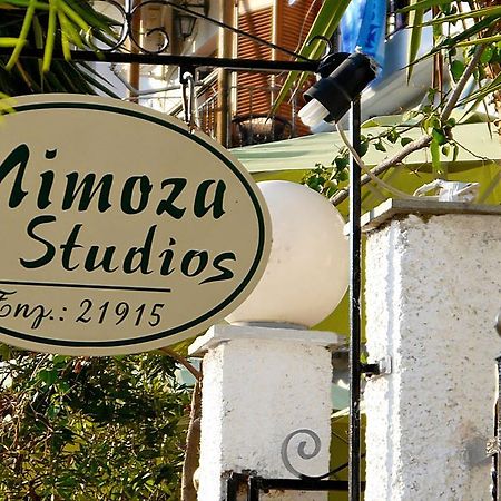 Mimoza Studios Σκιάθος Πόλη Εξωτερικό φωτογραφία