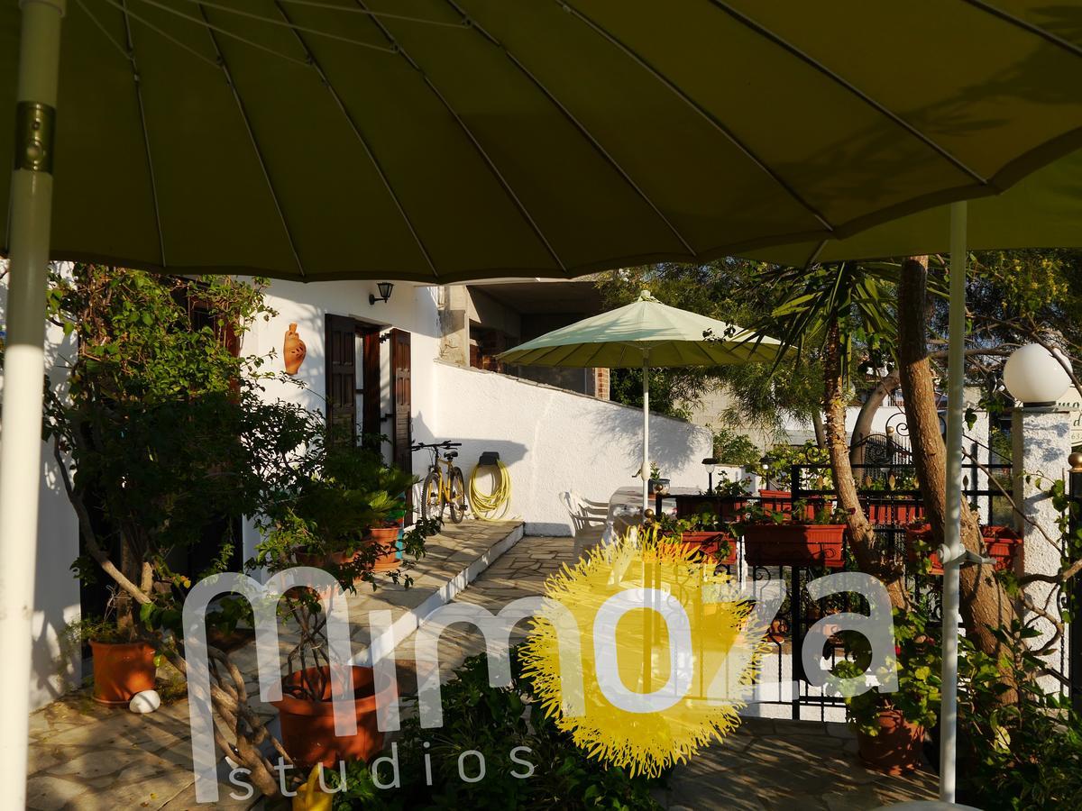Mimoza Studios Σκιάθος Πόλη Εξωτερικό φωτογραφία