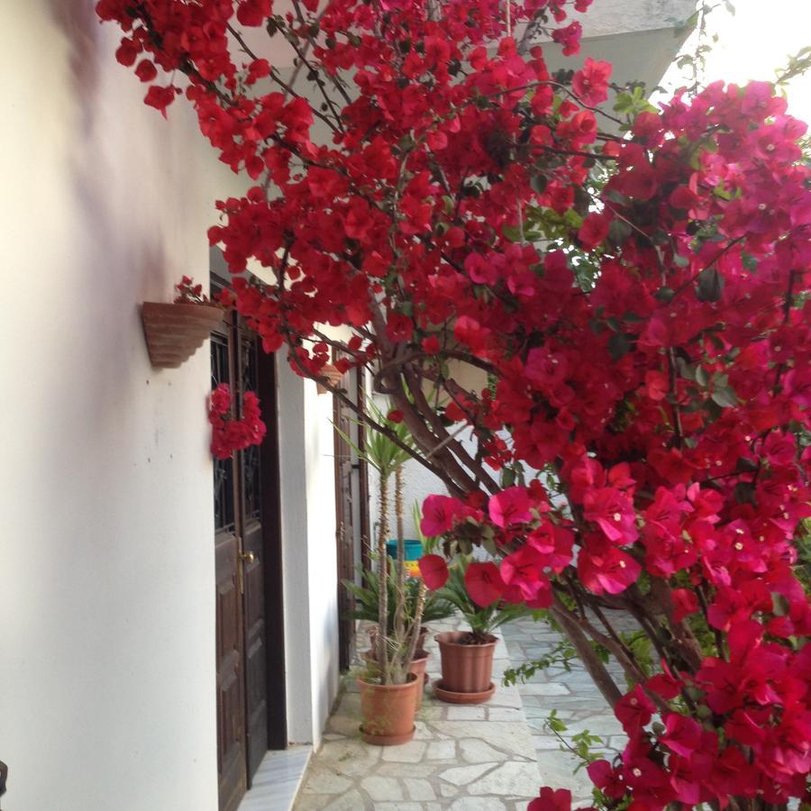 Mimoza Studios Σκιάθος Πόλη Εξωτερικό φωτογραφία